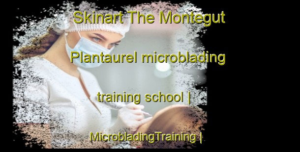 Skinart The Montegut Plantaurel microblading training school | MicrobladingTraining | MicrobladingClasses | SkinartTraining-France